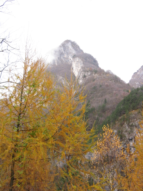 Montagne selvagge1: Spiz Gallina